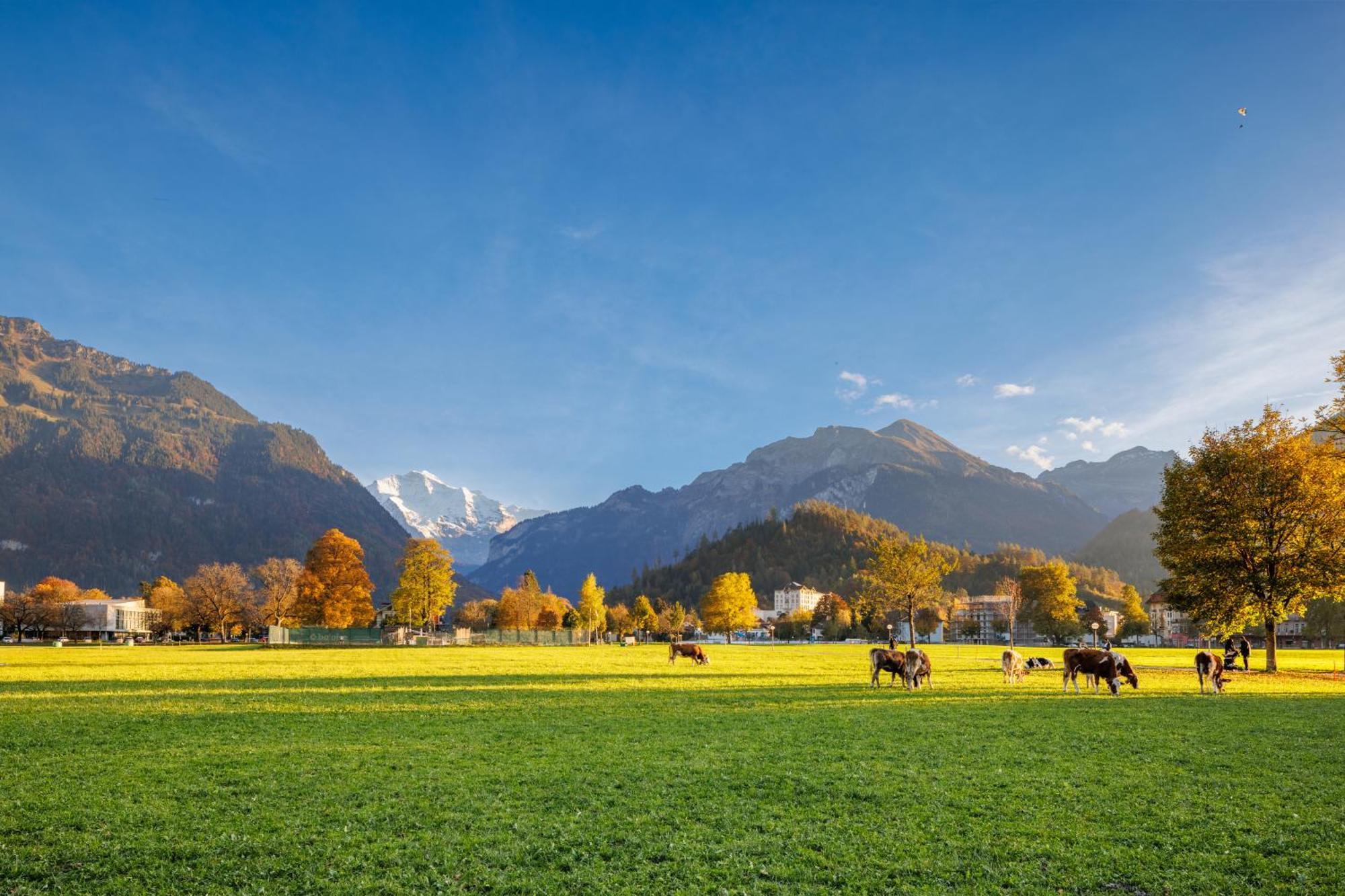 Hapimag Ferienwohnungen Interlaken Ngoại thất bức ảnh